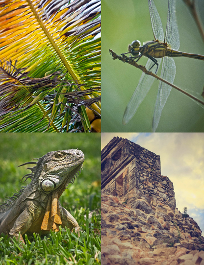 Viaje fotográfico por la Riviera Maya